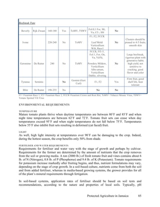 Beefsteak Type

                                                              Fol:0,1 For, Mi,
  Beverly   Rijk Zwaan   160-180      Yes     ToMV, TSWV                             No
                                                                Va, Cf:-, Sbl
                                                              F1, F2, FCCR
                                                                                               Clusters should be
   Ivone                 220-240      No         ToMV          Leaf Mold             No       pruned to 4-5 fruits,
                                                               Verticullium                       smooth skin
                                                               Wilt, Race1
                                                              FCCR, Ff1-5,
                                                              Fol:1, For, On,                  Large beefsteak,
                                                                Va, Vd/Si,                    vigorous plant with
                                                                                               generative habit,
 Geronimo    De Ruiter     240        No         ToMV        Powdery Mildew,         No          high yield, not
                                                               Verticillium                        sensitive to
                                                               Albo-atrum,                       cracking, good
                                                               Verticillium                     flavor and color
                                                              Dahlie, silvering
                                                                                                Firm fruit, good
                                              Gemini (Geri
  Tyranus     Seminis                 No                           F1, F2           Yes          shelf life, heat
                                                 Curl)
                                                                                                    tolerant
   Blitz     De Ruiter   198-255      No                             No              No
F1= Fusarium Race 1, F2= Fusarium Race 2, FCCR=Fusarium Crown and Root Rot, ToMV= Tobacco Mosaic Virus, TSWV=
Tomato Spotted Vilt Virus

ENVIRONMENTAL REQUIREMENTS

TEMPERATURE
Mature tomato plants thrive when daytime temperatures are between 80˚F and 85˚F and when
night time temperatures are between 62˚F and 72˚F. Tomato fruit sets can cease when day
temperatures exceed 95˚F and when night temperatures do not fall below 75˚F. Temperatures
below 55˚F also inhibit fruit sets resulting in deformed (cat faced) fruit.

LIGHT
As well, high light intensity at temperatures over 90˚F can be damaging to the crop. Indeed,
during the hottest season, the crop benefits only 50% from shade.

FERTILISER AND WATER REQUIREMENTS
Requirements for fertiliser and water vary with the stage of growth and perhaps by cultivar.
Requirements for the former are determined by the amount of nutrients that the crop removes
from the soil or growing media. A ton (2000 lb.) of fresh tomato fruit and vines contains about 6
lb. of N (Nitrogen), 0.8 lb. of P (Phosphorus) and 9.4 lb. of K (Potassium). Tomato requirements
for potassium increase markedly after fruiting begins, and thus, nutrient formulations may vary,
depending on the stage of crop growth. In a soil-based culture, nutrients come from both the soil
and from added fertiliser, whereas in media-based growing systems, the grower provides for all
of the plant’s mineral requirements through fertigation.

In soil-based systems, application rates of fertiliser should be based on soil tests and
recommendations, according to the nature and properties of local soils. Typically, pH


                                                             Protected Agriculture in Jamaica              85
 