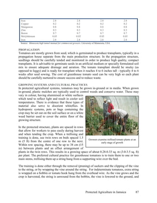 Iron                           2.8                     2.8                     2.8            2.8
  Copper                         0.2                     0.2                     0.2            0.2
  Manganese                      0.8                     0.8                     0.8            0.8
  Zinc                           0.3                     0.3                     0.3            0.3
  Boron                          0.7                     0.7                     0.7            0.7
  Molybdenum                    0.05                    0.05                    0.05           0.05
  Iron                           2.8                     2.8                     2.8            2.8
 Source: Minnesota high tunnel manual for commercial growers. University of Minnesota, USA.

PROPAGATION
Tomatoes are mostly grown from seed, which is germinated to produce transplants, typically in a
propagation house separate from the main production structure. In the propagation structure,
seedlings should be carefully tended and monitored in order to produce high quality, compact
transplants. It is advisable to germinate seeds in an artificial medium or specially formulated soil
mix to ensure adequate drainage and aeration. The tomato transplant should be stocky (as
opposed to leggy) and is ready for transplant when it reaches 4 to 6 inches tall - typically 4 to 6
weeks after seed sowing. The cost of greenhouse tomato seed can be very high so each plant
should be carefully nurtured to ensure success and to reduce waste.

GROWING SYSTEMS AND CULTURAL PRACTICES
In protected agricultural systems, tomatoes may be grown in-ground or in media. When grown
in-ground, plastic mulches are typically used to control weeds and conserve water. These may
vary in colour, having aluminised or white surfaces
which tend to reflect light and result in cooler soil
temperatures. There is evidence that these types of
material also serve to disorient whiteflies. In
hydroponic systems, pots or bags containing the
crop may be set out on the soil surface or on a white
weed barrier used to cover the entire floor of the
growing structure.

In the protected structure, plants are spaced in rows
that allow for workers to pass easily during harvest
and when tending the crop. When a trellising and
training is done, use twin rows on beds spaced 1.5
                                                         Growers examine trellised tomato plants at an
m (5 ft) from the centre of one row to the next.                    early stage of growth
Within row spacing, there may be up to 38 cm (15
in) between plants and an offset arrangement of
plants in the twin rows. This results in a growing space of about 0.28-0.33 sq. m (3.0-3.5 sq. ft)
per plant. The preferred cultural practice for greenhouse tomatoes is to train them to one or two
main stems, trellising them up a string hung from a supporting wire over the bed.

The training is done either through the removal (pruning) of suckers and the clipping of the vine
to the string, or by wrapping the vine around the string. For indeterminate tomatoes, extra string
is wrapped on a bobbin or tomato hook hung from the overhead wire. As the vine grows and the
crop is harvested, the string is unwound from the bobbin, the vine is lowered to the ground, and




                                                                  Protected Agriculture in Jamaica    87
 
