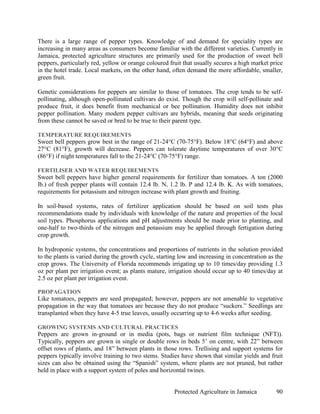 There is a large range of pepper types. Knowledge of and demand for speciality types are
increasing in many areas as consumers become familiar with the different varieties. Currently in
Jamaica, protected agriculture structures are primarily used for the production of sweet bell
peppers, particularly red, yellow or orange coloured fruit that usually secures a high market price
in the hotel trade. Local markets, on the other hand, often demand the more affordable, smaller,
green fruit.

Genetic considerations for peppers are similar to those of tomatoes. The crop tends to be self-
pollinating, although open-pollinated cultivars do exist. Though the crop will self-pollinate and
produce fruit, it does benefit from mechanical or bee pollination. Humidity does not inhibit
pepper pollination. Many modern pepper cultivars are hybrids, meaning that seeds originating
from these cannot be saved or bred to be true to their parent type.

TEMPERATURE REQUIREMENTS
Sweet bell peppers grow best in the range of 21-24°C (70-75°F). Below 18°C (64°F) and above
27°C (81°F), growth will decrease. Peppers can tolerate daytime temperatures of over 30°C
(86°F) if night temperatures fall to the 21-24°C (70-75°F) range.

FERTILISER AND WATER REQUIREMENTS
Sweet bell peppers have higher general requirements for fertilizer than tomatoes. A ton (2000
lb.) of fresh pepper plants will contain 12.4 lb. N, 1.2 lb. P and 12.4 lb. K. As with tomatoes,
requirements for potassium and nitrogen increase with plant growth and fruiting.

In soil-based systems, rates of fertilizer application should be based on soil tests plus
recommendations made by individuals with knowledge of the nature and properties of the local
soil types. Phosphorus applications and pH adjustments should be made prior to planting, and
one-half to two-thirds of the nitrogen and potassium may be applied through fertigation during
crop growth.

In hydroponic systems, the concentrations and proportions of nutrients in the solution provided
to the plants is varied during the growth cycle, starting low and increasing in concentration as the
crop grows. The University of Florida recommends irrigating up to 10 times/day providing 1.3
oz per plant per irrigation event; as plants mature, irrigation should occur up to 40 times/day at
2.5 oz per plant per irrigation event.

PROPAGATION
Like tomatoes, peppers are seed propagated; however, peppers are not amenable to vegetative
propagation in the way that tomatoes are because they do not produce “suckers.” Seedlings are
transplanted when they have 4-5 true leaves, usually occurring up to 4-6 weeks after seeding.

GROWING SYSTEMS AND CULTURAL PRACTICES
Peppers are grown in-ground or in media (pots, bags or nutrient film technique (NFT)).
Typically, peppers are grown in single or double rows in beds 5’ on centre, with 22” between
offset rows of plants, and 18” between plants in those rows. Trellising and support systems for
peppers typically involve training to two stems. Studies have shown that similar yields and fruit
sizes can also be obtained using the “Spanish” system, where plants are not pruned, but rather
held in place with a support system of poles and horizontal twines.


                                                       Protected Agriculture in Jamaica          90
 