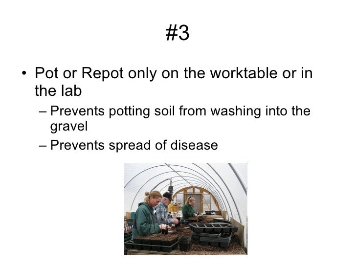 Greenhouse safety