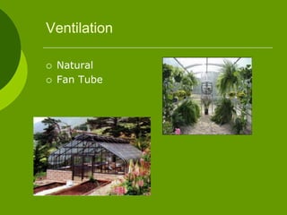 Ventilation
 Natural
 Fan Tube
 