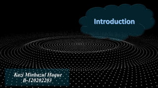 Kazi Minhazul Haque
B-120202203
 