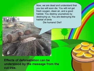 Effects of deforestation can be understood by the message from the cut tree. Now, we are dead and understand that you too will soon die. You will not get fresh oxygen, clean air, and a good habitat. You destroy yourselves by destroying us. You are destroying the habitat of birds Die humans! Die!!