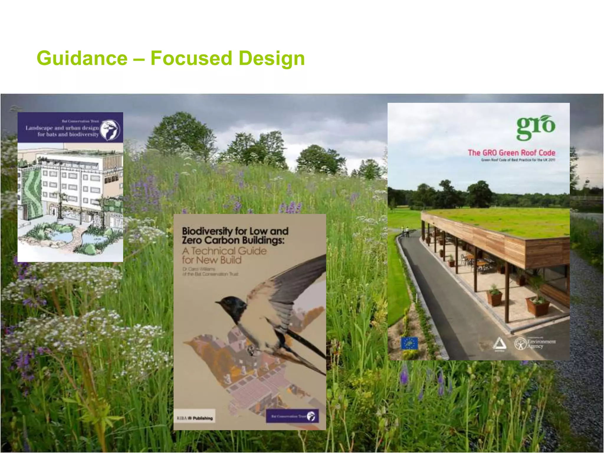 Guidance – Focused Design

 