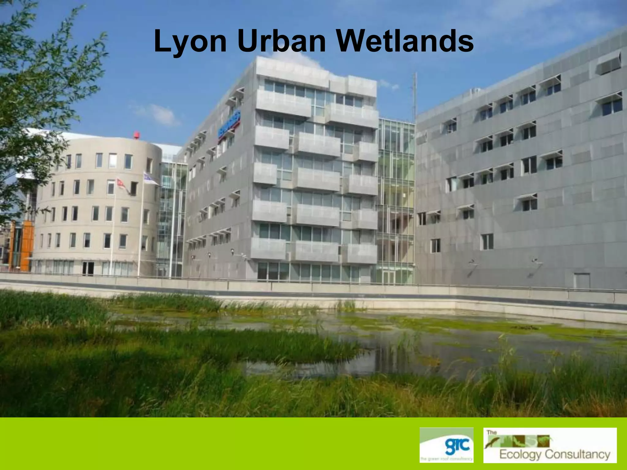 Lyon Urban Wetlands

 