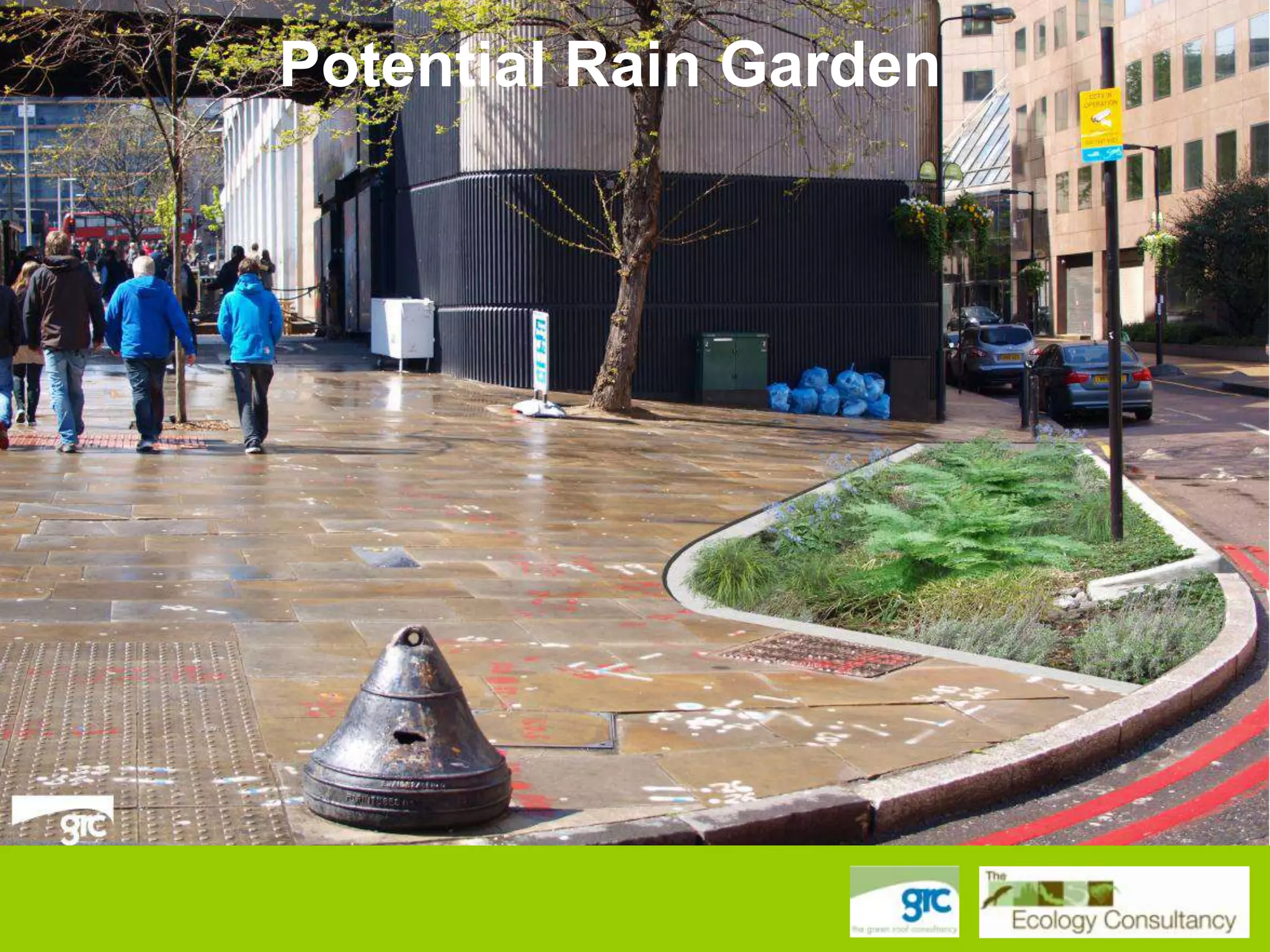 Potential Rain Garden

 