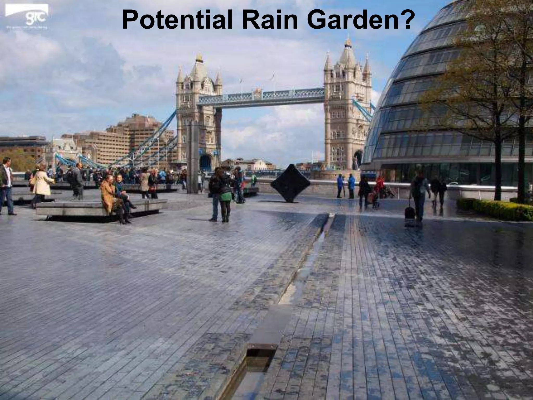 Potential Rain Garden?

 