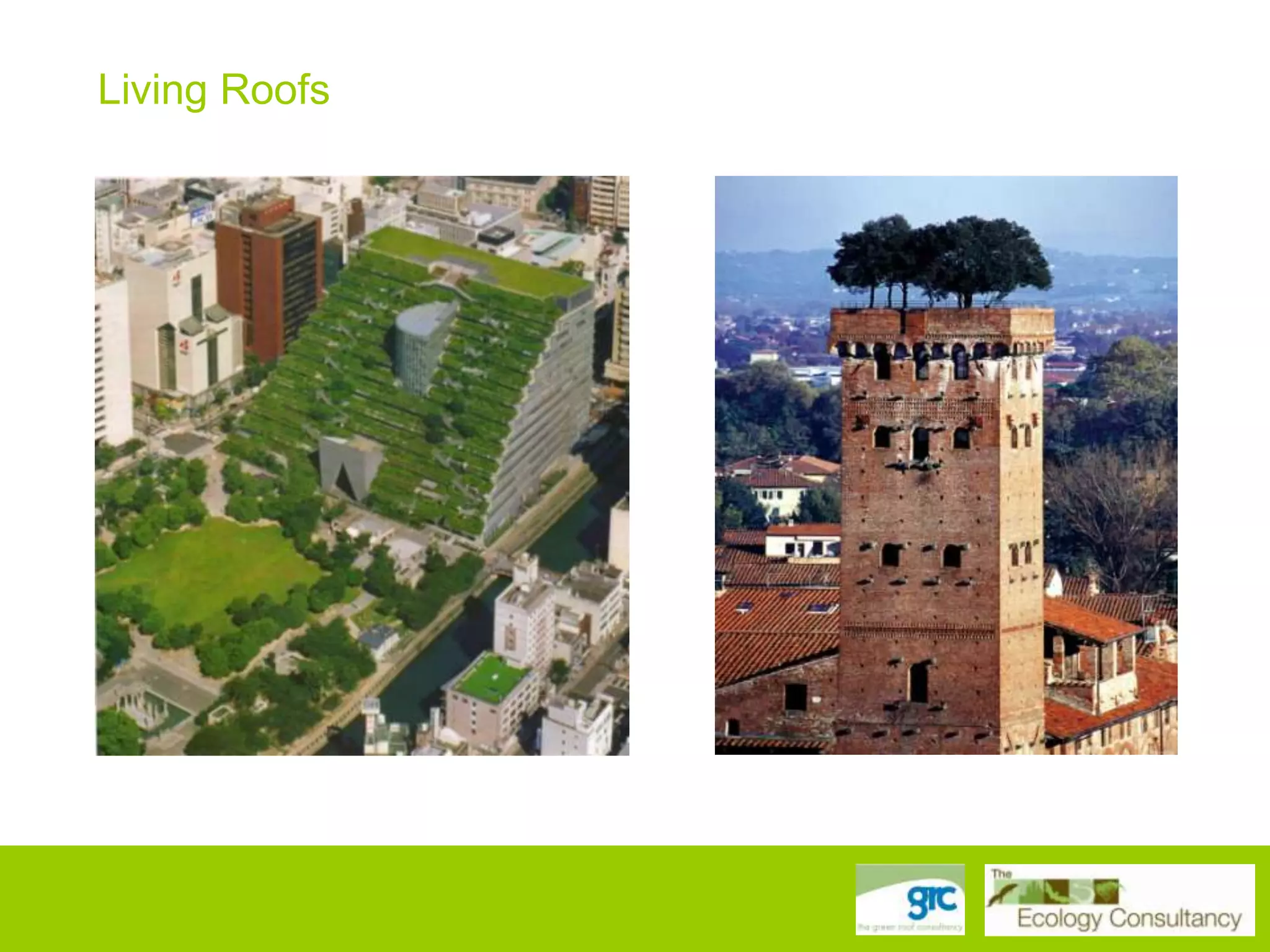 Living Roofs

 