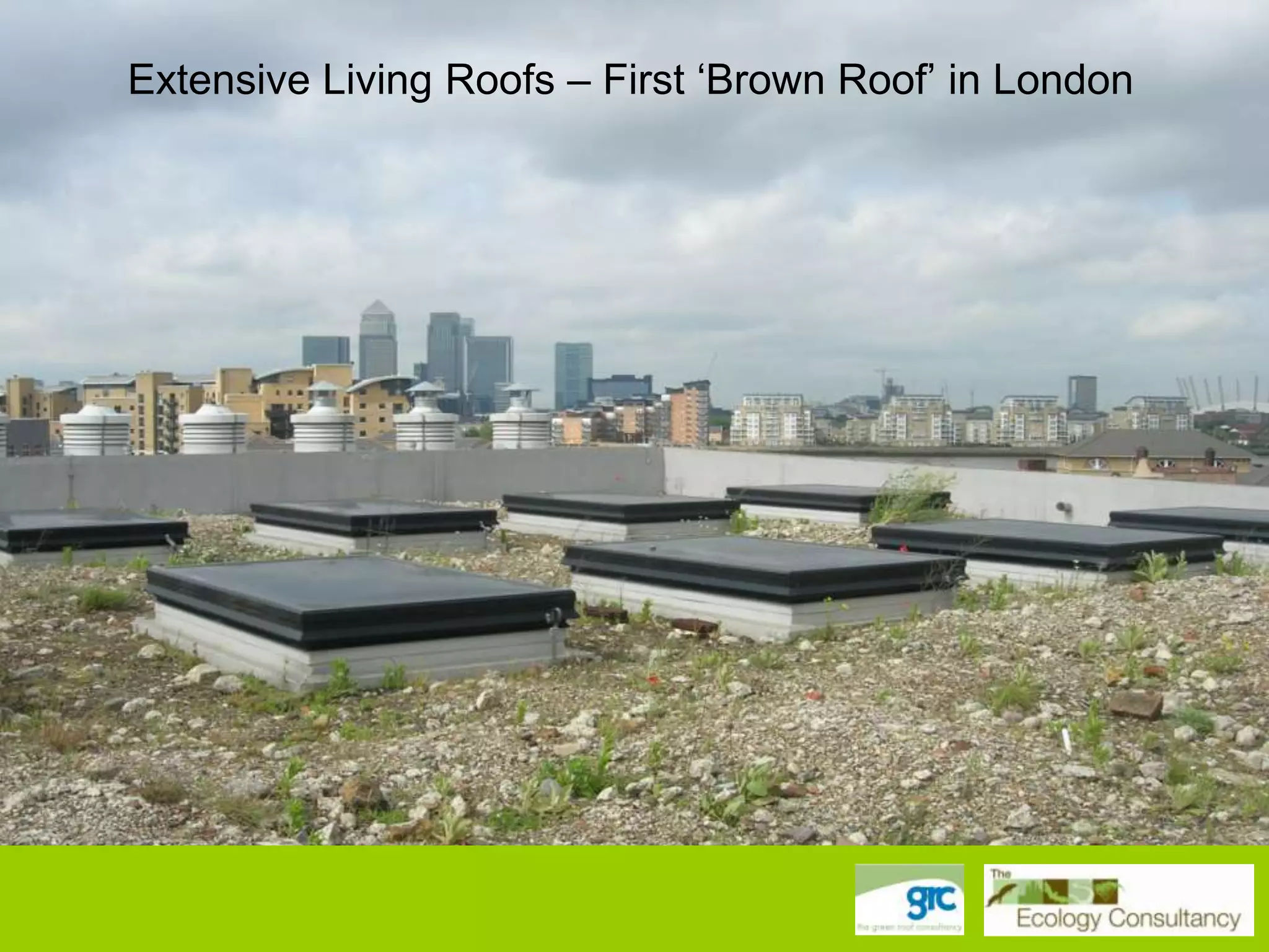 Extensive Living Roofs – First „Brown Roof‟ in London

 