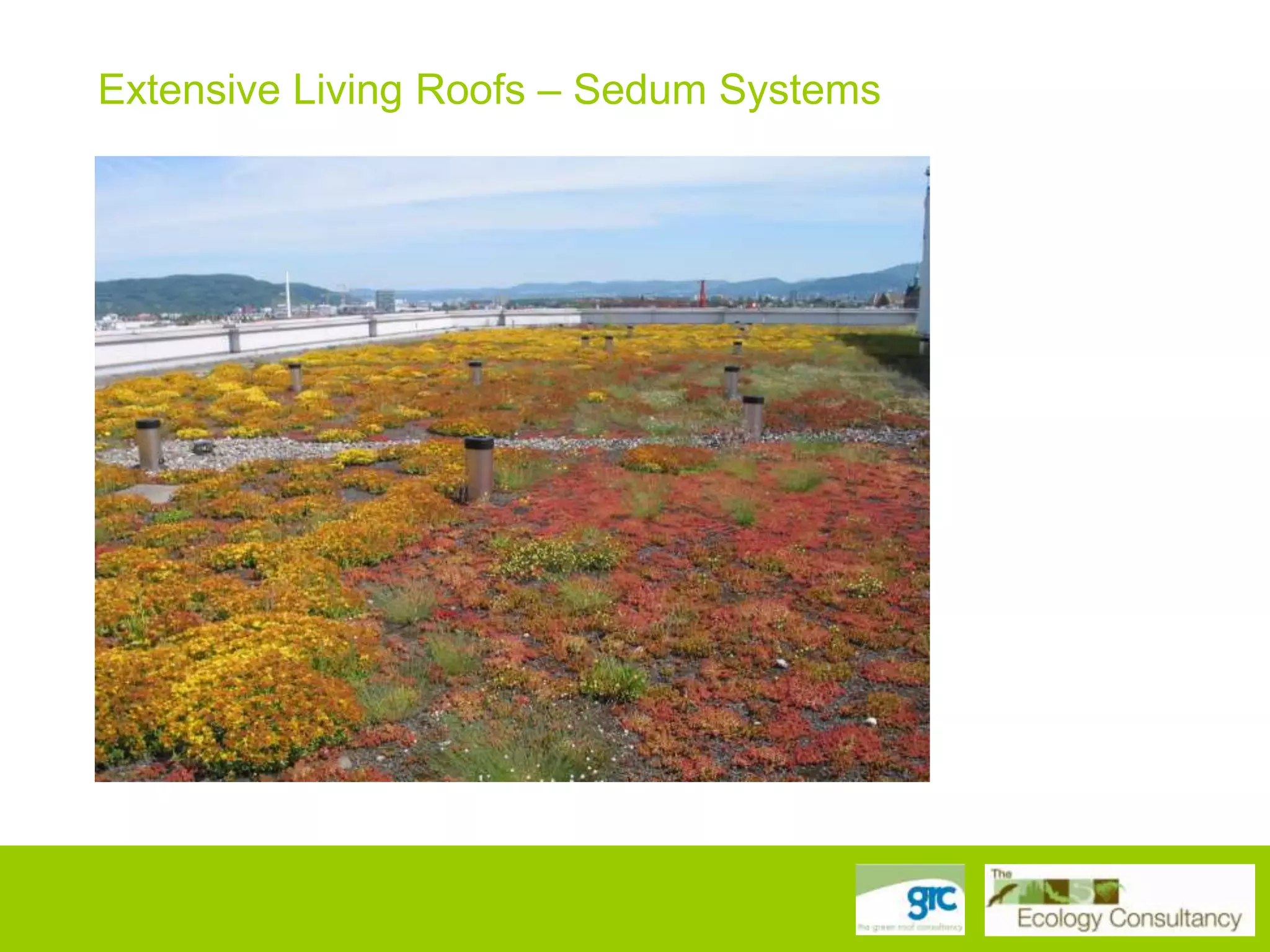 Extensive Living Roofs – Sedum Systems

 