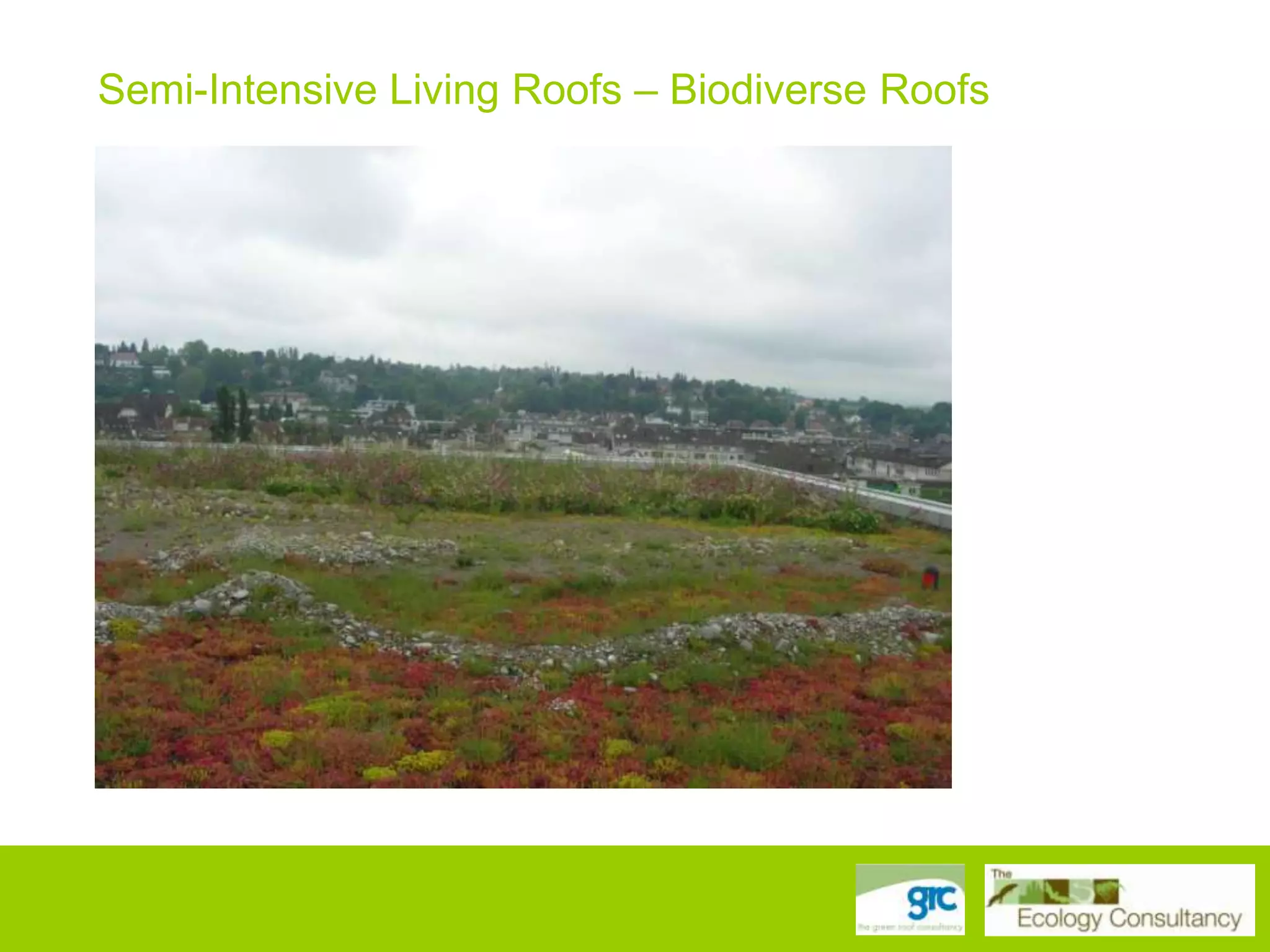 Semi-Intensive Living Roofs – Biodiverse Roofs

 