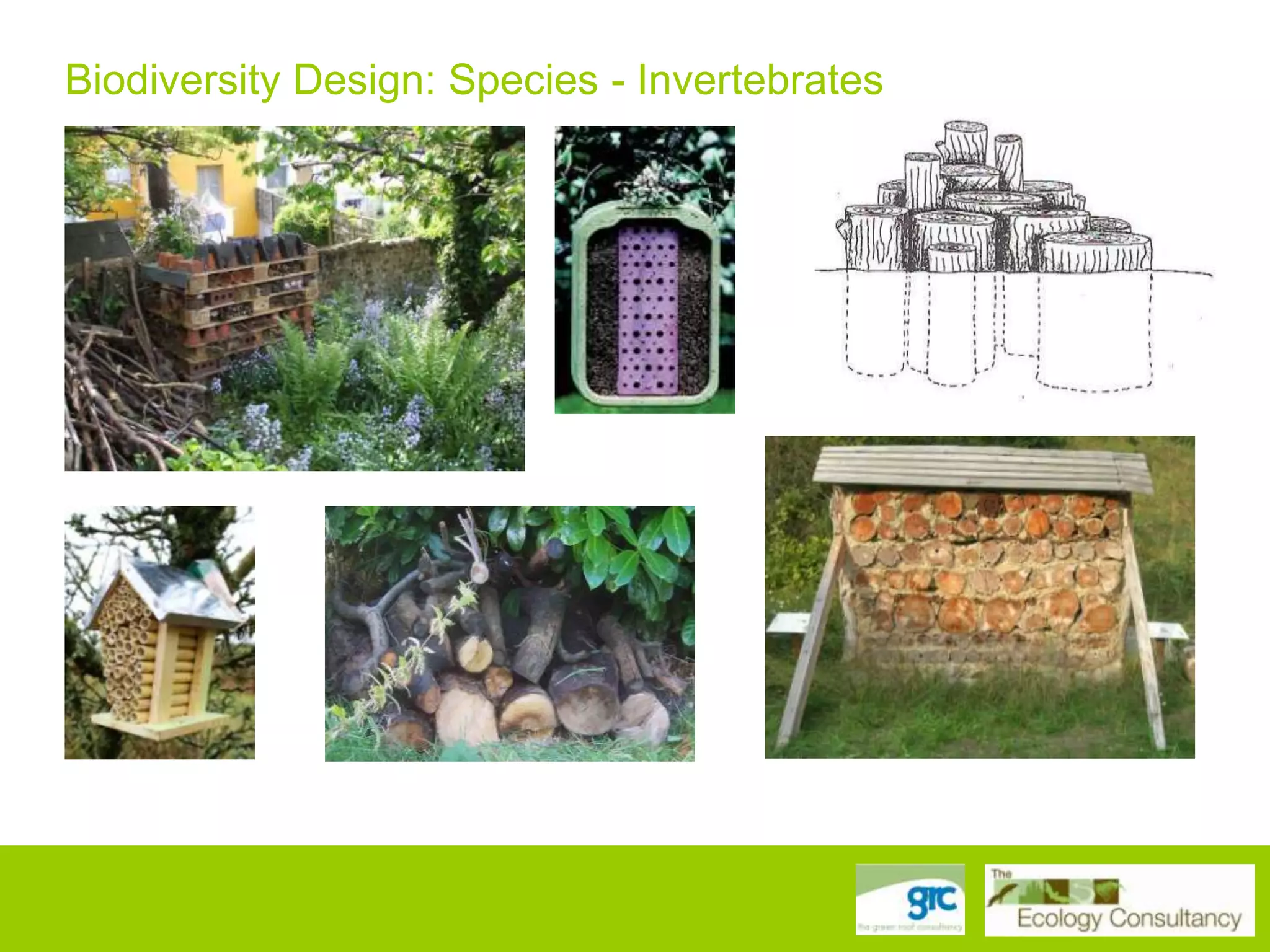 Biodiversity Design: Species - Invertebrates

 