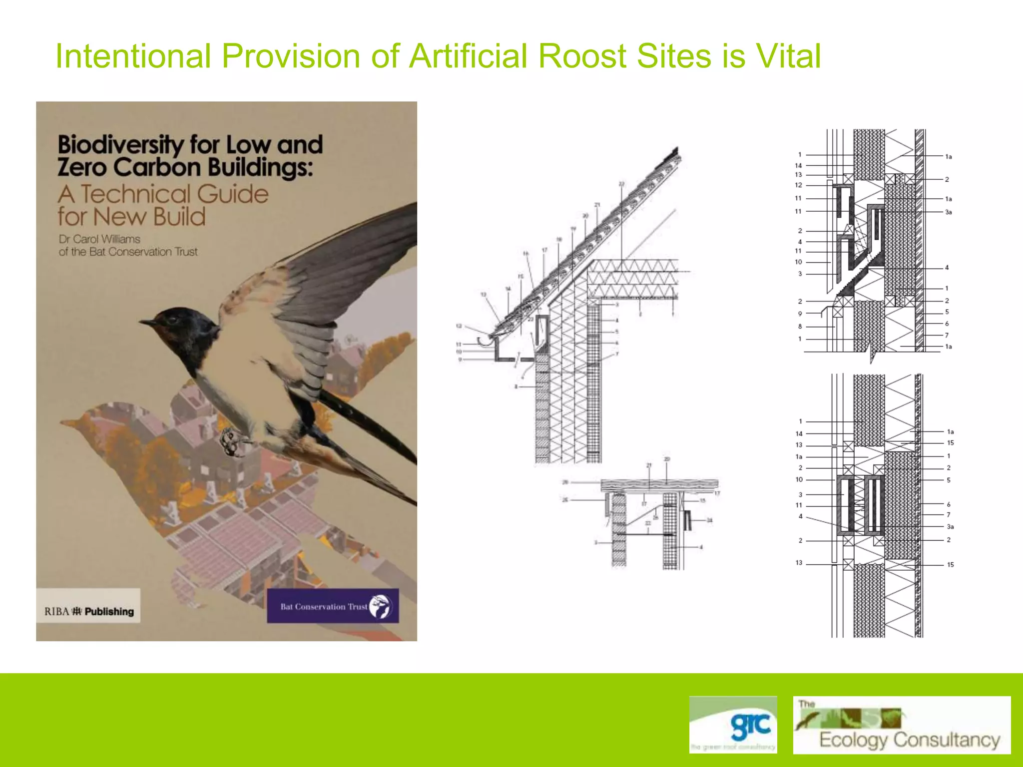 Intentional Provision of Artificial Roost Sites is Vital

 