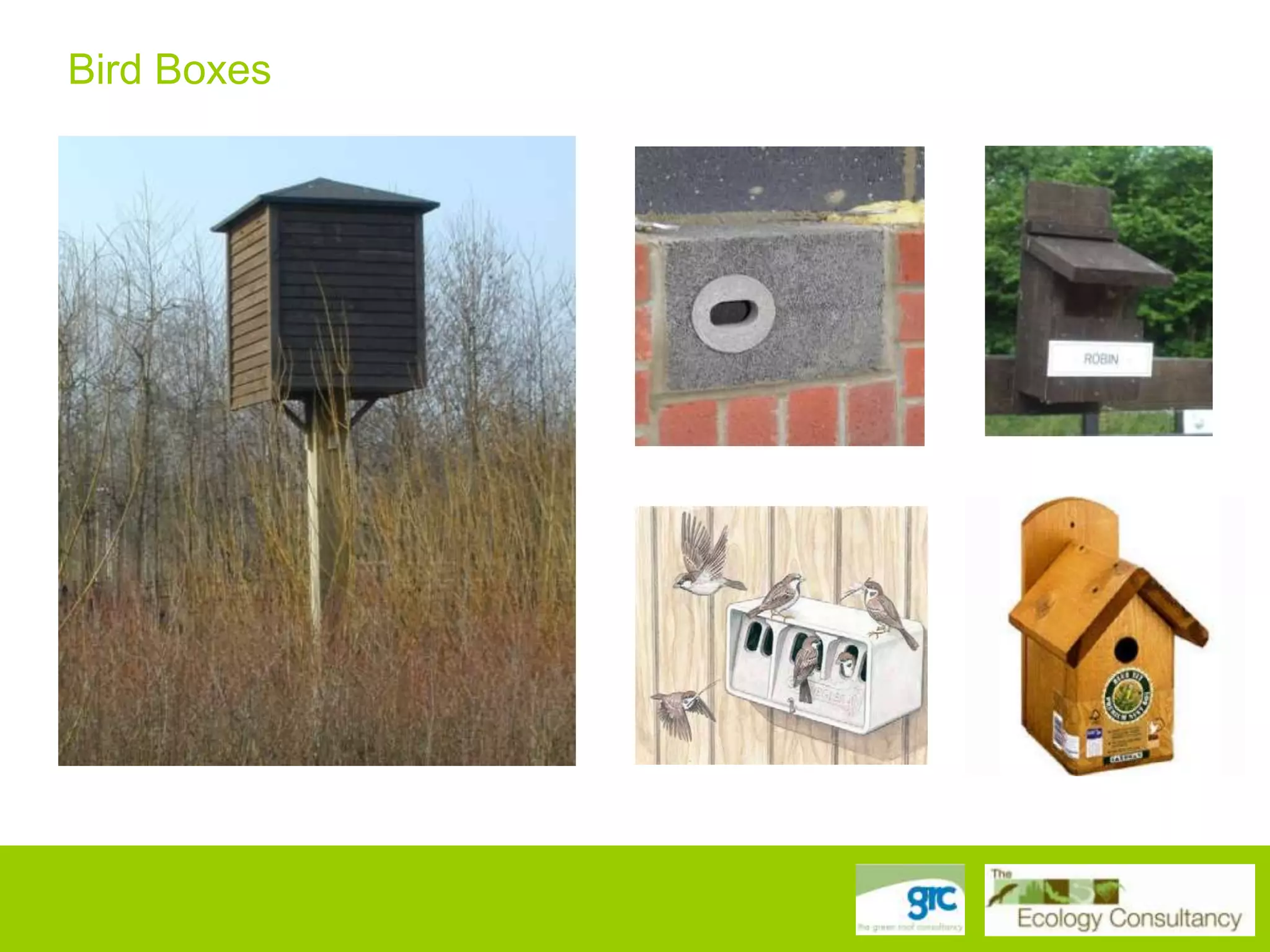 Bird Boxes

 
