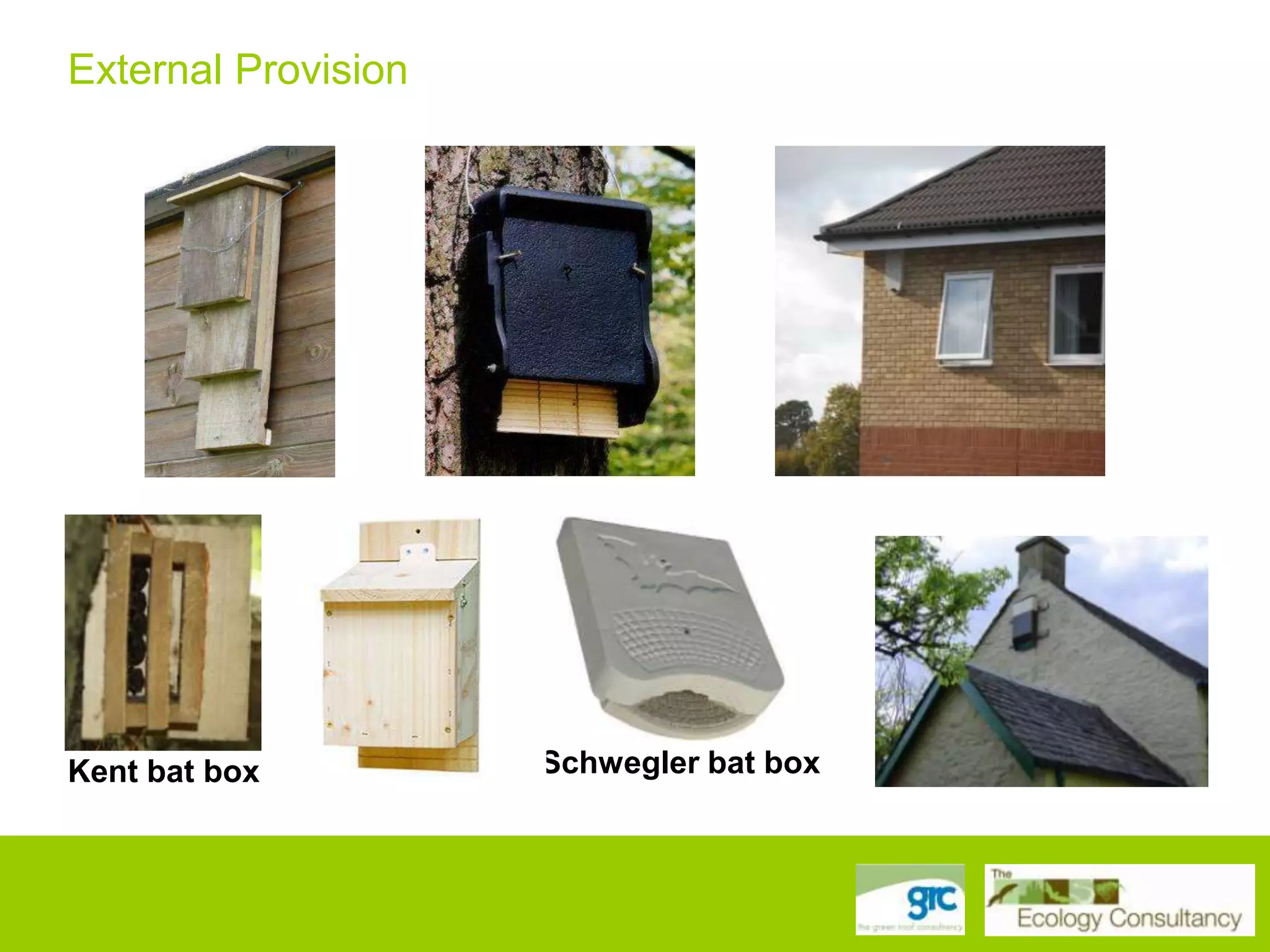 External Provision

Kent bat box

Schwegler bat box

 