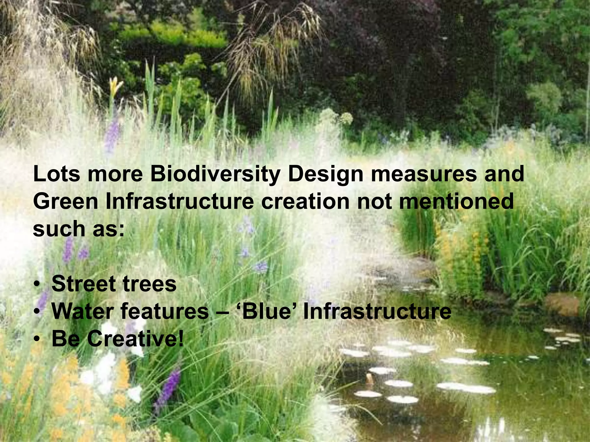 Lots more Biodiversity Design measures and
Green Infrastructure creation not mentioned
such as:
• Street trees
• Water features – ‘Blue’ Infrastructure
• Be Creative!

 
