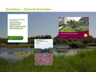 Guidance – General Overview

 