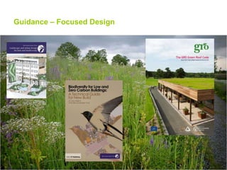 Guidance – Focused Design

 