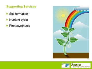 Supporting Services
 Soil formation
 Nutrient cycle
 Photosynthesis

 