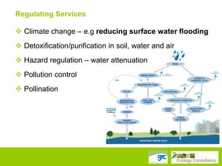 Regulating Services
Provisioning
 Climate
Services change – e.g reducing surface water flooding
 Detoxification/purification in soil, water and air

 Hazard regulation – water attenuation
 Pollution control
 Pollination

 