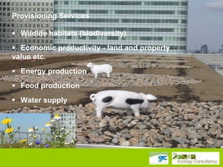 Provisioning Services
 Wildlife habitats (biodiversity)
 Economic productivity - land and property
value etc.

 Energy production
 Food production
 Water supply

 