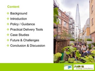 Content
 Background
 Introduction

 Policy / Guidance
 Practical Delivery Tools
 Case Studies

 Future & Challenges
 Conclusion & Discussion

 