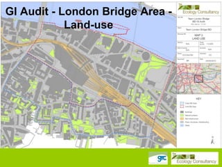 GI Audit - London Bridge Area Land-use

 