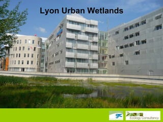 Lyon Urban Wetlands

 