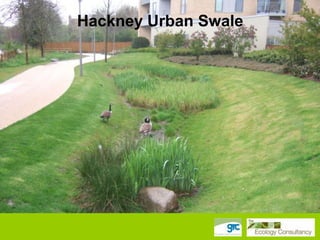 Hackney Urban Swale

 
