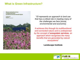 What is Green Infrastructure?

“GI represents an approach to land use
that has a critical role in meeting many of
the challenges we face [social,
environmental and economic].
It achieves this through its multifunctional
and connected nature and is underpinned
by the concept of ecosystem services, an
approach which recognises the many
benefits that are generated by natural
ecosystems”
Landscape Institute

 