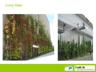 Living Walls

 