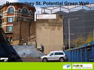 Bermondsey St. Potential Green Wall

 