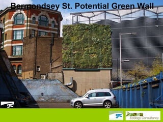 Bermondsey St. Potential Green Wall

 