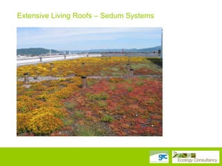 Extensive Living Roofs – Sedum Systems

 