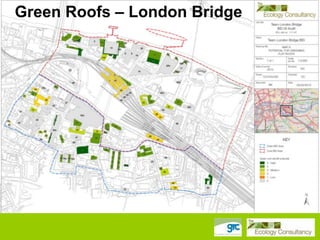 Green Roofs – London Bridge

 
