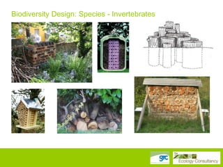 Biodiversity Design: Species - Invertebrates

 