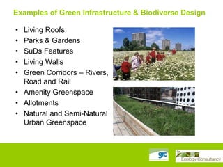 Examples of Green Infrastructure & Biodiverse Design
•
•
•
•
•

Living Roofs
Parks & Gardens
SuDs Features
Living Walls
Green Corridors – Rivers,
Road and Rail
• Amenity Greenspace
• Allotments
• Natural and Semi-Natural
Urban Greenspace

 