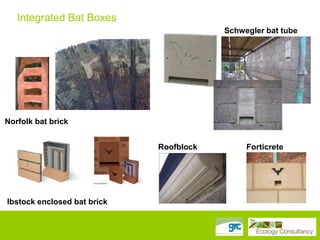 Integrated Bat Boxes
Schwegler bat tube

Norfolk bat brick
Roofblock

Ibstock enclosed bat brick

Forticrete

 
