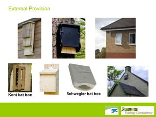 External Provision

Kent bat box

Schwegler bat box

 