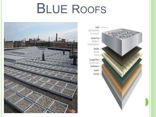 BLUE ROOFS 
 