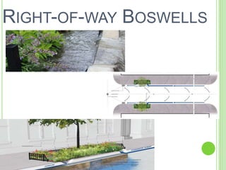 RIGHT-OF-WAY BOSWELLS 
 
