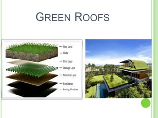 GREEN ROOFS 
 