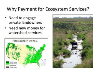 Why Payment for Ecosystem Services?
• Need to engage
  private landowners
• Need new money for
  watershed services
 