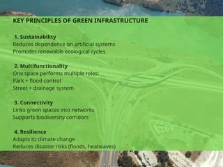 Comprehensive Guide to Green Infrastructure and Green Roofs in ...