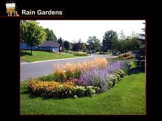 Rain Gardens




               www.spartanburgwater.org
 