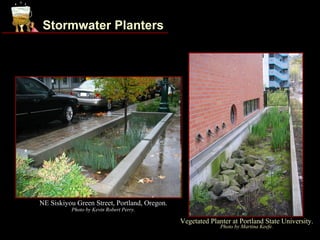 Stormwater Planters




NE Siskiyou Green Street, Portland, Oregon.
          Photo by Kevin Robert Perry.

                                              Vegetated Planter at Portland State University.
                                                            Photo by Martina Keefe.
 