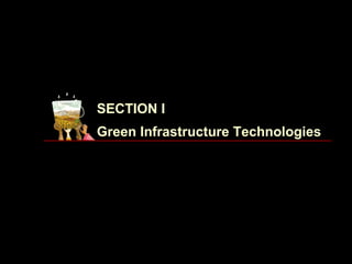 SECTION I
Green Infrastructure Technologies
 