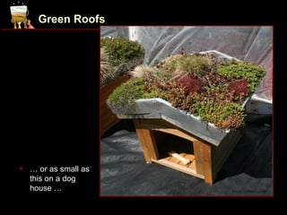 Green Roofs




   … or as small as
    this on a dog
    house …            www.remarc.com
 