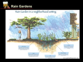 Rain Gardens




               www.spartanburgwater.org
 
