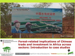 THINKING beyond the canopy
Forest-related implications of Chinese
trade and investment in Africa across
sectors: Introduction to case studies
Photo: G. Schoneveld
 
